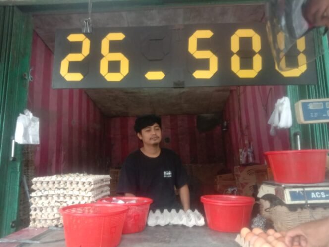 
Harga telur Ayam di Kota Rangkasbitung Lebak Mengalami Penurunan Harga