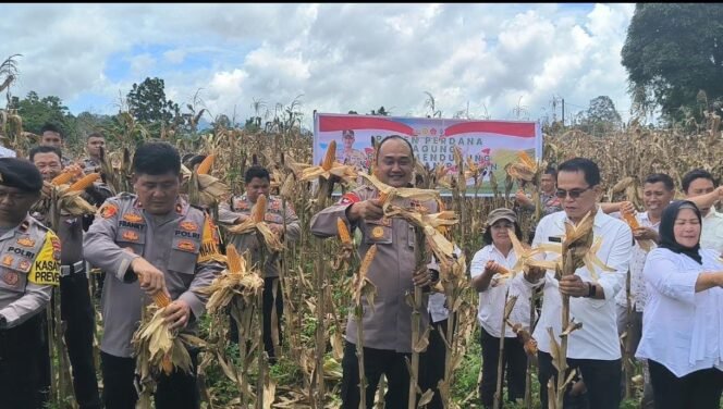
Tunjang Ketahanan Pangan Nasional , Pemkab dan Polres Mitra Panen Perdana Jagung