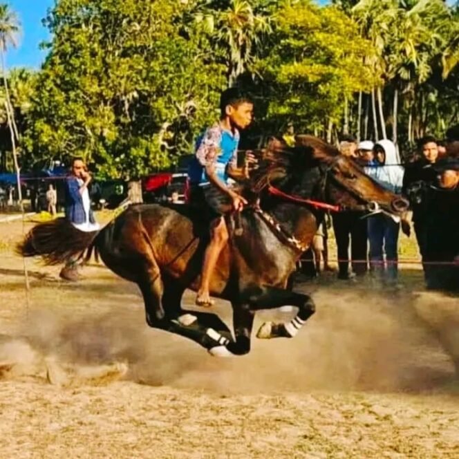 
Eksploitasi Anak di Balik Derap Kuda Rote Ndao