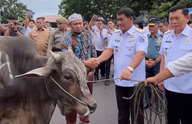 
Foto - Gubernur Sulut Yulius Selvanus SE Didampingi Wakil Gubernur Sulut Dr Viktor Mailangkay SH MH Rabu 4 Juni 2025 Serahkan 66 Hewan Qurban Sapi Untuk Umat Muslim Menjelang Hari Raya Idul Adha 1446 H di Halaman Belakang Kantor Gubernur.