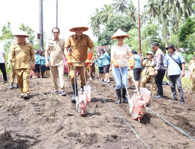 
Tunjang Program Ketahanan Pangan Nasional, Bupati dan  TP PKK Mitra Lakukan Penanaman Jagung dan Komoditi Bumbu Masak