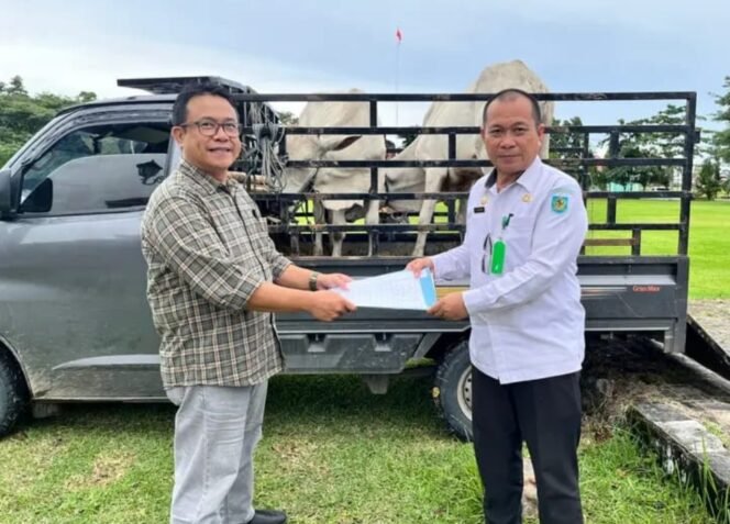 
PT Kimong Kembali Serahkan 2 Ekor Sapi ke Pemda Bolmong Jelang Idul Adha 1446 Hijriah