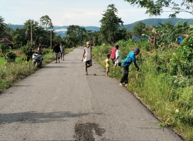 
Giat Karya Bhakti Di Bahu Jalan, Personil Babinsa Koramil 06/Unaaha Bersihkan Ranting Pohon Dan Semak Belukar