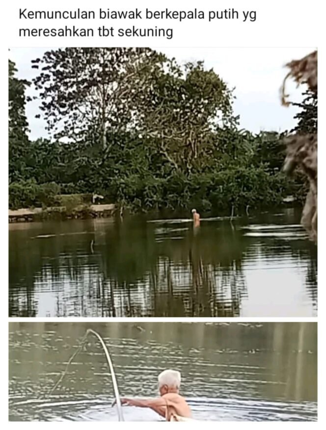 
Merasa Dihina Salah Satu Warga Kayu Kunyit Disebut Biawak Akan Segera Melaporkan Pemilik Facebook Donga Udi