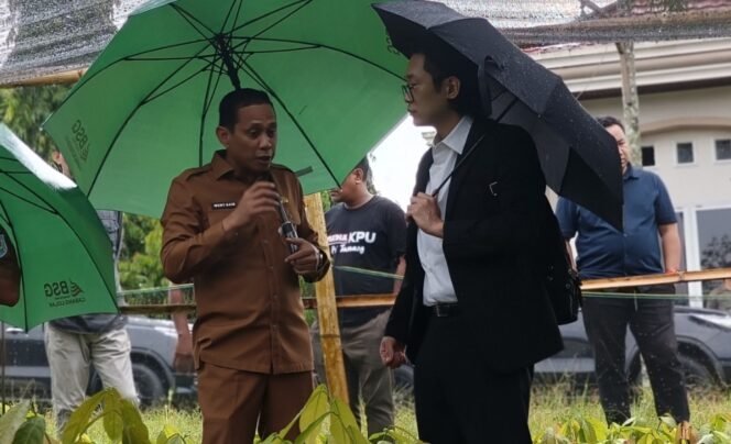 
Wali Kota Ajak Investor Jepang Melihat Bibit Kakao di Kotamobagu