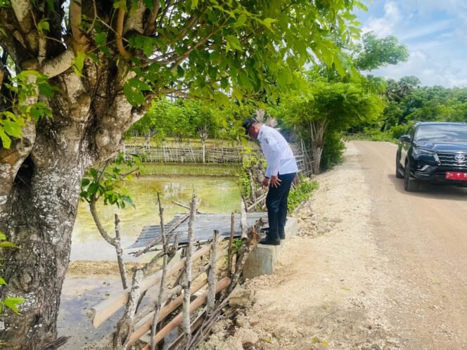 
Bupati Rote Ndao Tinjau Langsung Sejumlah Proyek Pembangunan dan Rehabilitasi Jalan