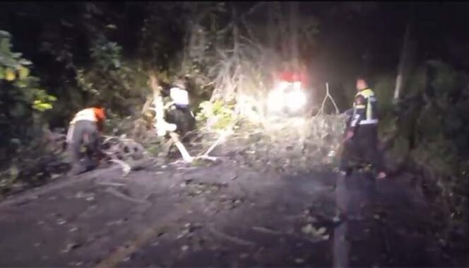 
Personel Polres Mitra Respon Cepat Bantu Evakuasi Pohon Tumbang yang Merintangi Badan Jalan Ratahan – Belang