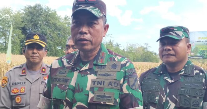 
Danrem 131/Santiago Kunker Awal Tahun ke Kodim 1310/Bitung, Tinjau Panen Jagung Perdana