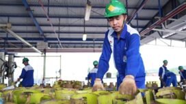 Foto Dikumen Pertamina Patra Niaga