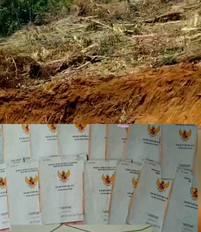 
Wenny Lumentut  : Lahan Yang Dipersoalkan Adalah  Lahan Perkebunan Bukan Hutan Lindung