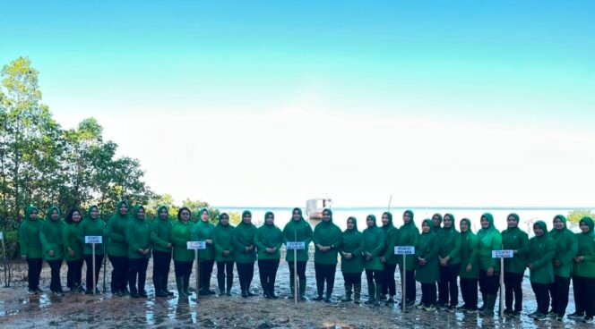 
Dalam Rangka HUT Ke-80, Persit KCK Cabang XLVII Dim 1412/Kolaka Laksanakan Penanaman Mangrove Di Wilayah Kecamatan Watubangga