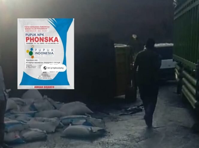 
Truck terguling, Di Duga Bermuatan pupuk subsidi ilegal di Bedeng V, melarikan Diri.