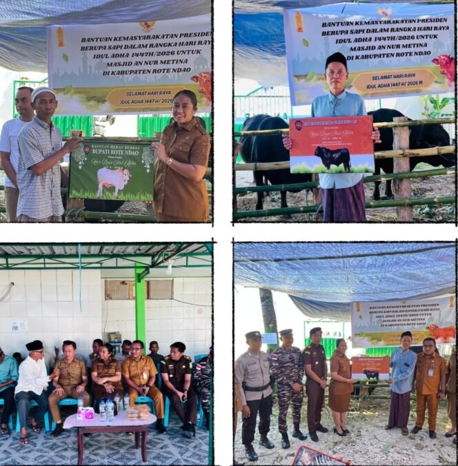 
Wakil Bupati Rote Ndao Didampingi Hermanus Haning Serahkan Hewan Kurban Idul Adha 1447 H ke 11 Kecamatan
