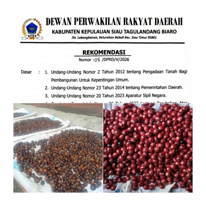 
Selisih Harga Diduga Picu Masuknya Pala dari Luar Daerah, DPRD Sitaro Kirimkan Rekomendasi ke Pemda Sitaro