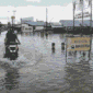 Banjir rob