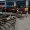 Sampah yang menumpuk di kawasan Pasar Ikan Ulu Siau menjadi sorotan pegiat pariwisata. Selain mengganggu estetika kawasan, sampah yang tidak segera ditangani dikhawatirkan terbawa ke laut dan mencemari ekosistem pesisir.
