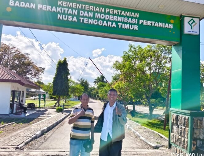
GUGATAN KE PTUN: SERTIFIKAT TANAH DI NAIBONAT TERBIT DENGAN  CARA
