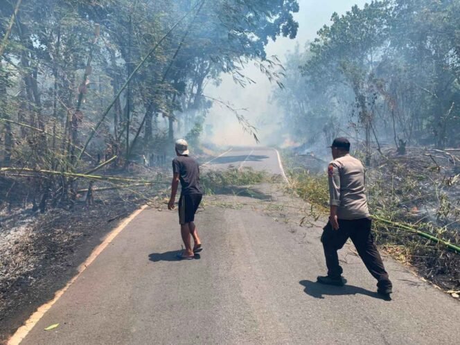 
Terjun ke Lokasi, Polsek Ranowulu Bantu Damkar Tangani Kebakaran Lahan di Batu Putih Bawah