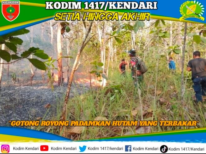 
Aksi Sigap Babinsa Koramil 1417-02/Wawotobi Padamkan Si Jago Merah Di Hutan Konawe