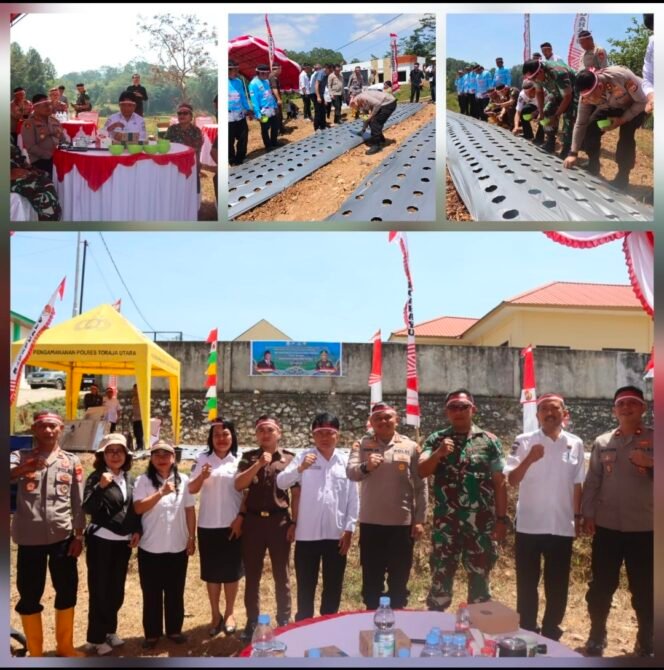 
Polres Torut Tanam Bawang Putih, Siapkan 10 Hektare Lahan untuk Dukung Swasembada Pangan
