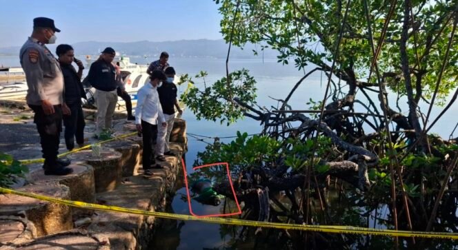 
Mayat Pria Tanpa Identitas Ditemukan Mengapung di Bawah Bakau Belakang OT Cafe Kendari