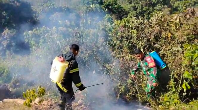
Puntung Rokok Diduga Picu Kebakaran 1 Hektare Kebun Cengkeh di Kolut, Babinsa Turun Padamkan Api