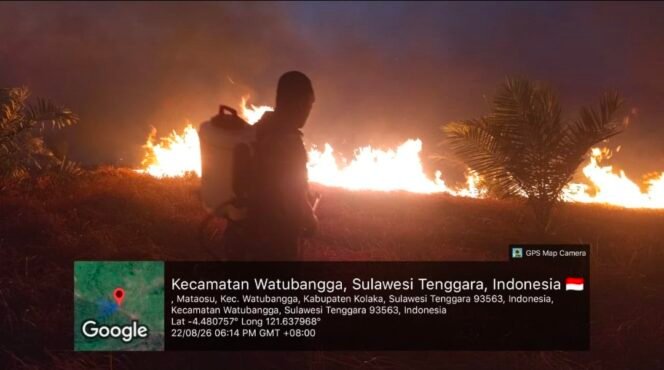 
Kebakaran 40 Hektare di Polinggona, Babinsa Padamkan Api dengan Alat Seadanya