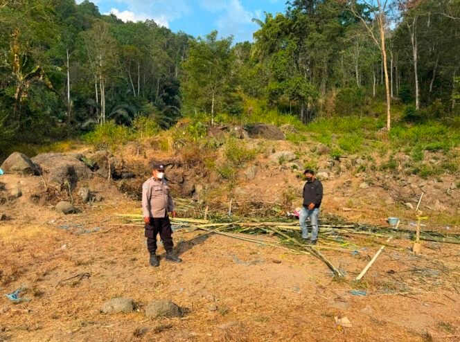 
Polres Tator Bongkar Arena Judi Sabung Ayam di Rano, Kapolres : Oknum Terlibat Ditindak Tegas