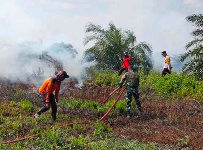 
Tiga Hari Berjibaku, Babinsa Serka Zet Charles Padamkan Karhutla 62 Hektare di Koltim