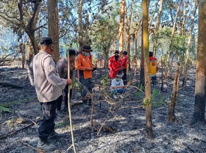 
Polsek Tinanggea, Manggala Agni dan Warga Padamkan Karhutla 4,5 Hektare di Konsel