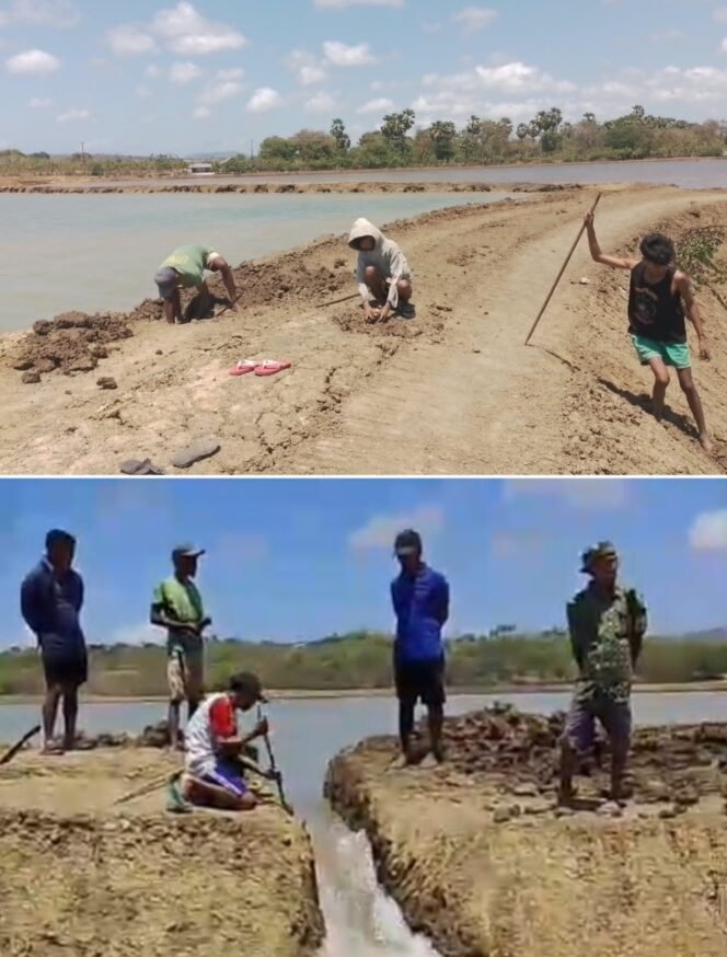 
Kompensasi K-SIGN Dipersoalkan, Bupati Rote Ndao: Rp10 Juta per Hektare Sudah Dibayarkan