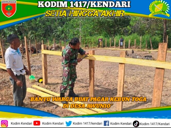 
Babinsa Koramil 1417-04/Lainea Bantu Warga Buat Pagar Kebun TOGA di Desa Awunio