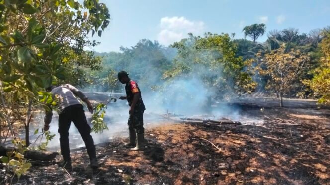 
Sinergi TNI-Polri dan Warga, Babinsa Padamkan Kebakaran Lahan di Laonti