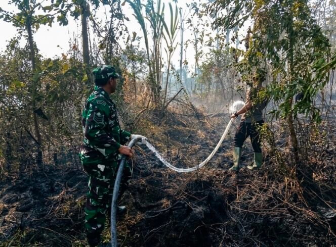 
Babinsa Ranomeeto dan Tim Gabungan Padamkan Kebakaran Lahan di Puosu Jaya