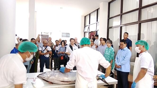 
Wali Kota Hengky Honandar Mengajak Delegasi Marpolex 2026 Saksikan Langsung Pengolahan Ikan Tuna Jadi Sashimi