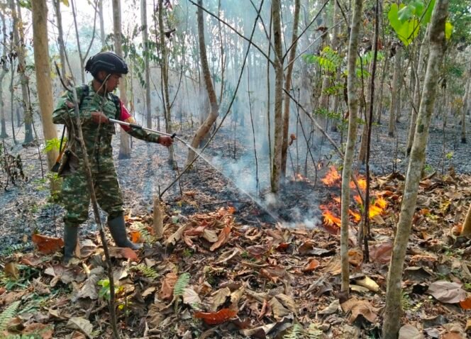 
Personel Gabungan TNI-Polri, Damkar, dan Warga Padamkan Kebakaran Lahan di Lebo Jaya Konsel