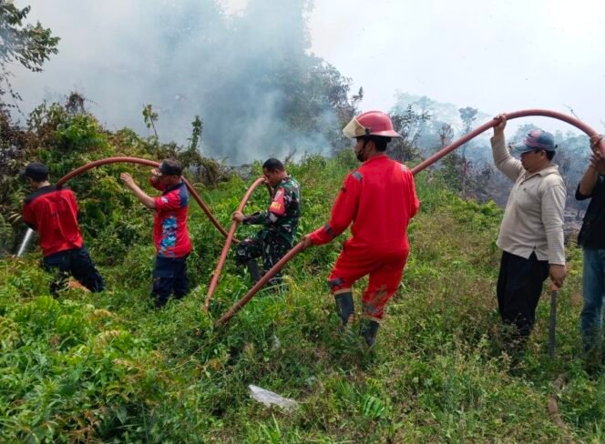 
Babinsa Koramil 1417-08/Mandonga dan Tim Gabungan Padamkan Karhutla di Baruga
